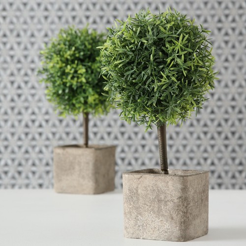 Topfpflanze 2er set - topfpflanze,