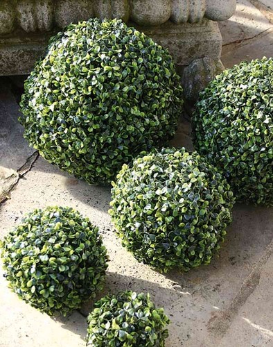Artplants buchsbaumkugel - artplants,