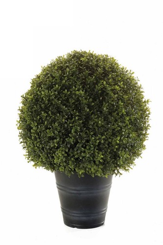 Artplants kunst buchsbaum - artplants,