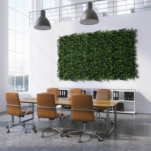 Boxwood pflanzenwand 50 x - pflanzenwand,