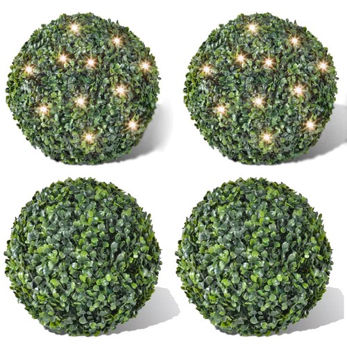 Buchskugel graskugel - 2x,